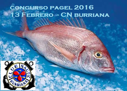 APLAZADO POR PREVISIÓN MALAS CONDICIONES METEREOLÓGICAS EL CONCURSO PAGEL 2016 – 13 FEBRERO 2016 APLAZADO POR PREVISIÓN MALAS CONDICIONES METEREOLÓGICAS EL CONCURSO PAGEL 2016 – 13 FEBRERO 2016